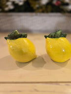 Ceramic Lemon Salt and Pepper Shakers – Bright Yellow Fruit Design, Kitchen Table Décor