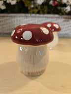 Ceramic Mushroom Salt & Pepper Shaker Set – Red Cap Toadstool Kitchen Decor