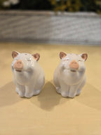 Smiling Pig Salt & Pepper Shakers – Ceramic Farmhouse Kitchen Table Set