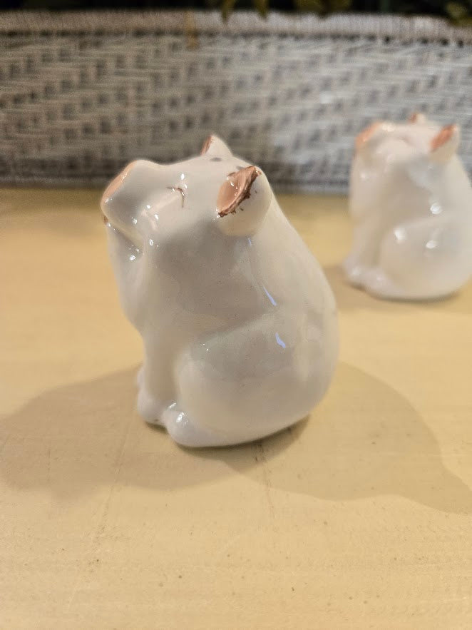 Smiling Pig Salt & Pepper Shakers – Ceramic Farmhouse Kitchen Table Set