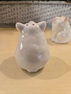 Smiling Pig Salt & Pepper Shakers – Ceramic Farmhouse Kitchen Table Set