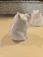 Smiling Pig Salt & Pepper Shakers – Ceramic Farmhouse Kitchen Table Set