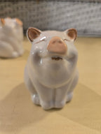 Smiling Pig Salt & Pepper Shakers – Ceramic Farmhouse Kitchen Table Set