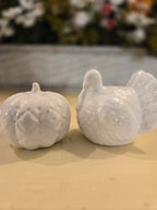 White Ceramic Pumpkin & Turkey Salt and Pepper Shaker Set – Fall Harvest / Thanksgiving Table Décor