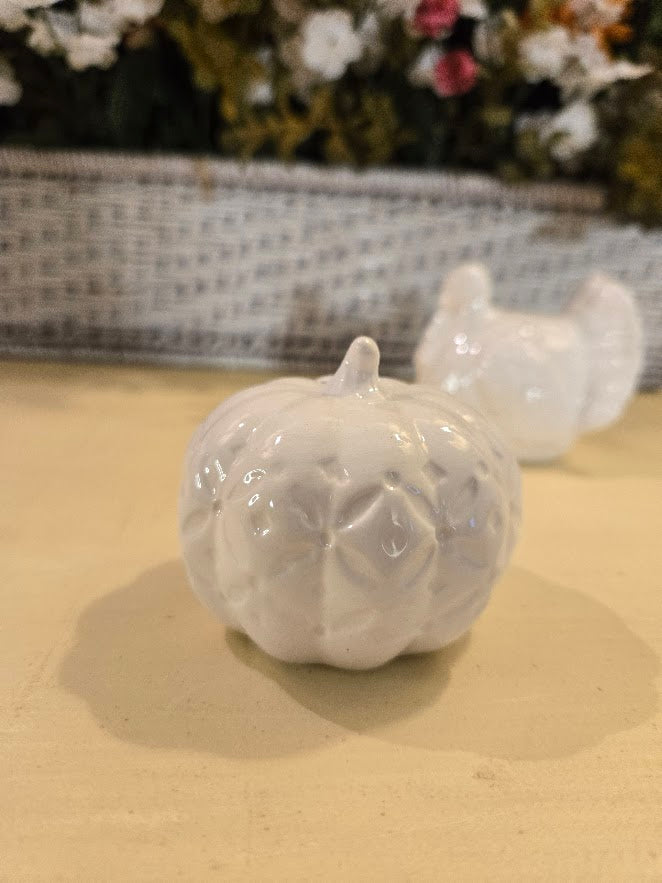 White Ceramic Pumpkin & Turkey Salt and Pepper Shaker Set – Fall Harvest / Thanksgiving Table Décor