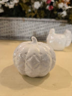 White Ceramic Pumpkin & Turkey Salt and Pepper Shaker Set – Fall Harvest / Thanksgiving Table Décor
